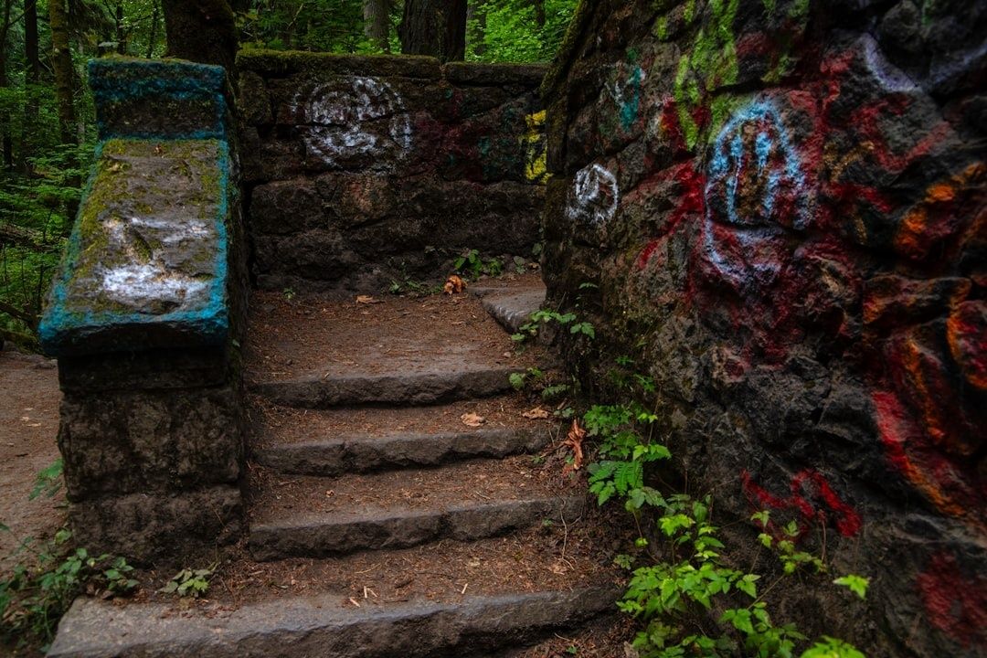 Steinerne Waldtreppe mit farbig besprühten Begrenzungsmauern