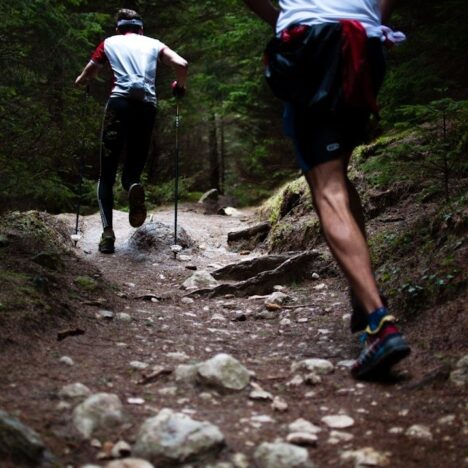 Ohne Chaos zum Start: So funktioniert ein starkes Logistiksystem bei Laufveranstaltungen