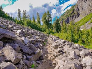 Steiniger Bergpfad mit natürlicher Entwässerung im Nadelwald