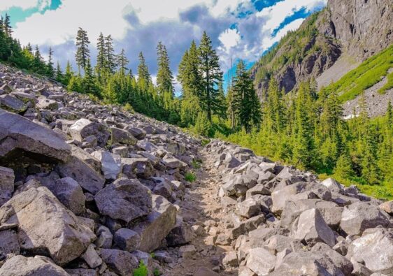 Steiniger Bergpfad mit natürlicher Entwässerung im Nadelwald