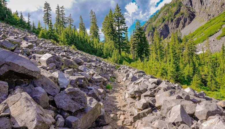 Steiniger Bergpfad mit natürlicher Entwässerung im Nadelwald